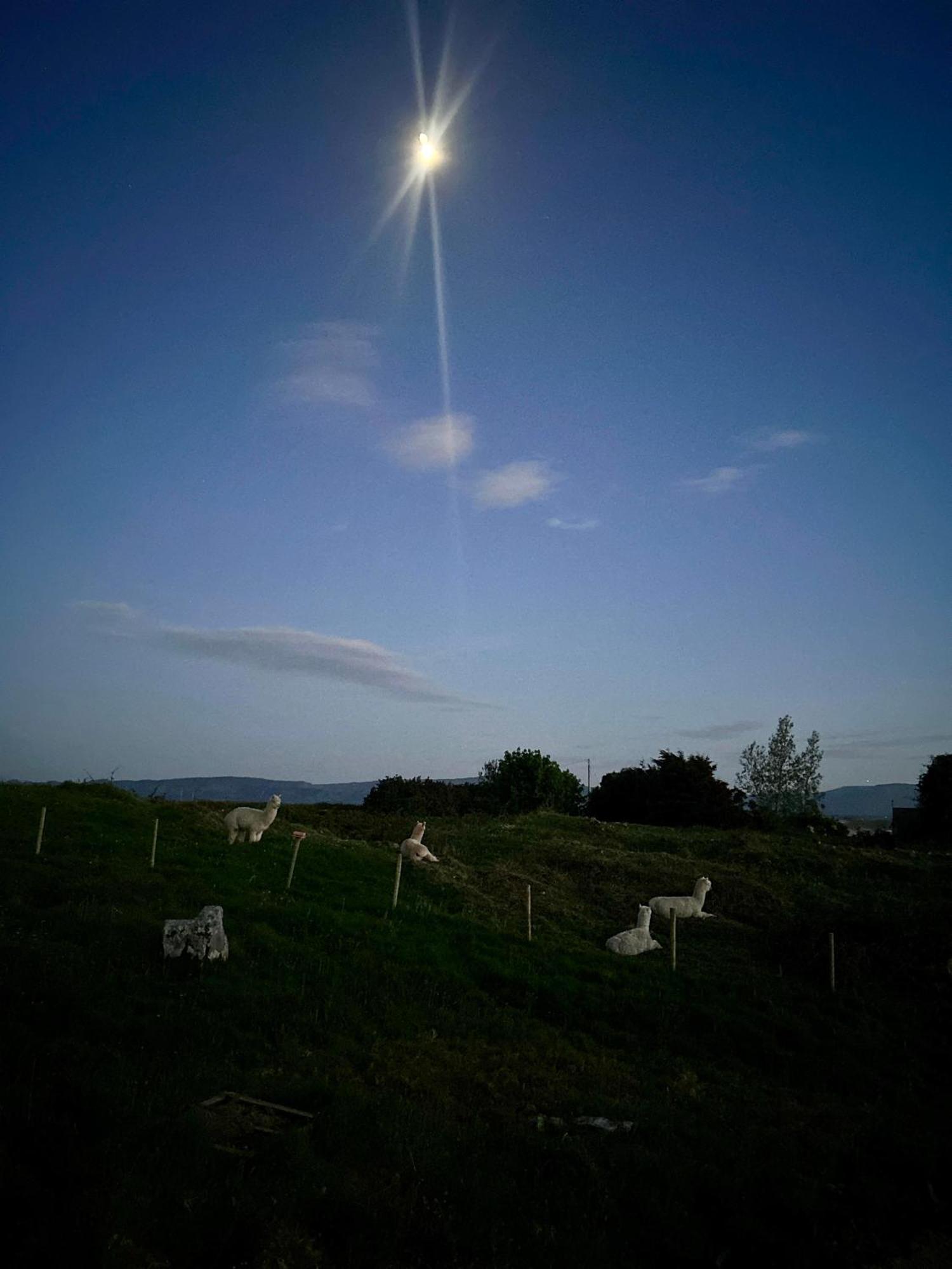 The Creevy Cabin Ballure Exterior photo